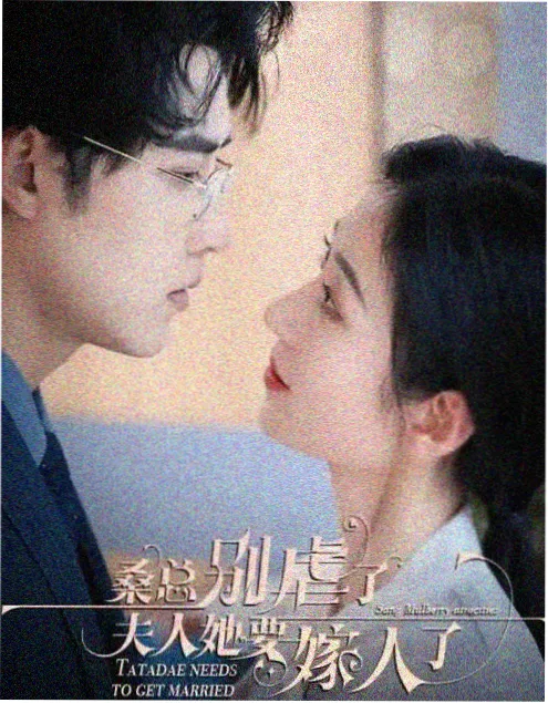 寂静的证词热播电视剧免费观看